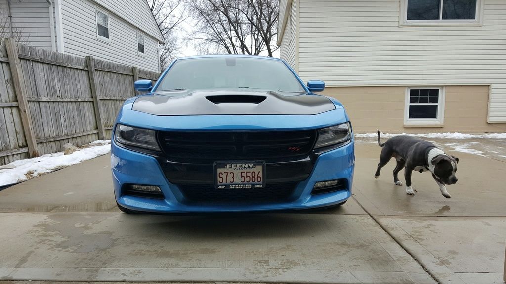 My 15 Charger RT Build Thread | Dodge Charger Forum